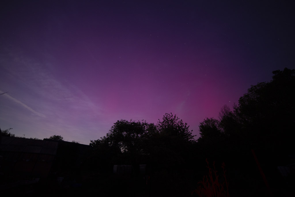 Photo des premières aurores apparues au crépuscule. Il y a un premier plan d'arbres, le ciel n'est pas complètement sombre et des lueurs rougeâtres sont bien visibles.