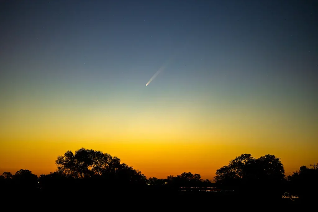 Photo d'un ciel de l'aube avec un dégradé de ciel allant du bleu en haut à l'orange à l'horizon. Le premier-plan d'arbres se détache en ombre chinoise. En plein centre, on voit la comète de couleur blanche qui déploie une grande queue rectiligne vers le haut et la droite de l'image.